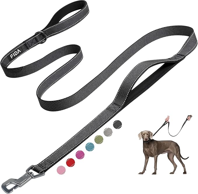 Fida 6ft Double Handle Leash